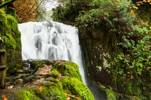 A serene waterfall cascades over moss-covered rocks, surrounded by lush greenery and autumn leaves.