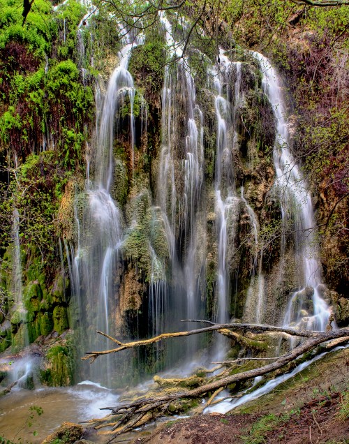 A serene waterfall cascading over moss-covered rocks, surrounded by lush greenery and fallen branches.