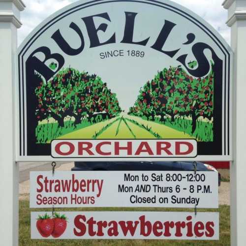 Sign for Buell's Orchard, established 1889, with hours for strawberry season and a closed notice for Sundays.