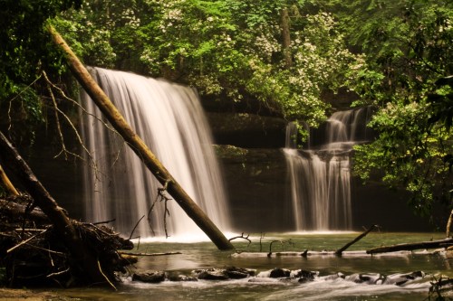 A serene waterfall cascades into a tranquil pool, surrounded by lush greenery and fallen logs.