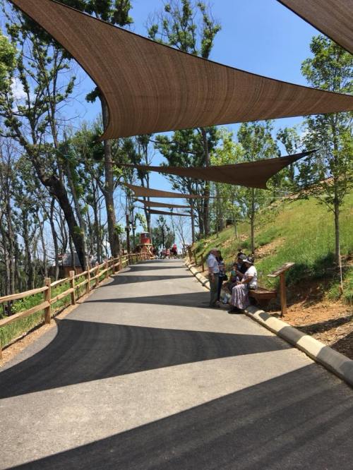A shaded pathway lined with trees, featuring people sitting on benches and enjoying the outdoors on a sunny day.