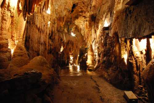 A dimly lit cave interior with stalactites and stalagmites, featuring illuminated rock formations along the walls.