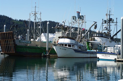 Fishing boats docked at a marina, surrounded by calm water and green hills in the background.