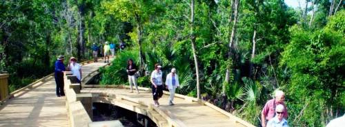 A wooden boardwalk winding through a lush green forest with people walking and enjoying the scenery.