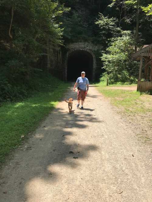 A person walks a dog along a dirt path leading to a dark tunnel, surrounded by trees and greenery.