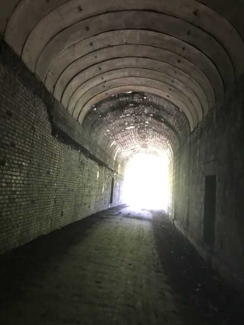 A dimly lit tunnel with arched brick walls, leading to a bright light at the far end.