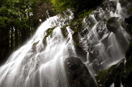 A cascading waterfall flows over moss-covered rocks, surrounded by lush green trees.