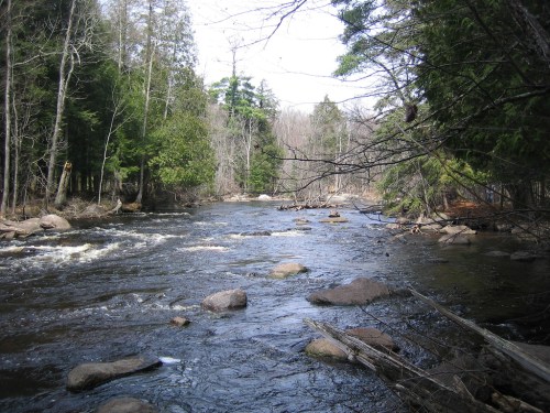 A serene river flows through a forested area, with rocks scattered in the water and trees lining the banks.