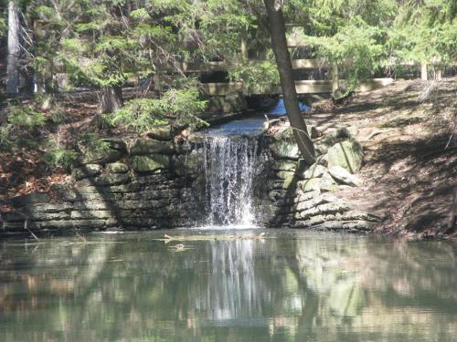 A serene waterfall cascades into a calm pond, surrounded by lush greenery and trees.