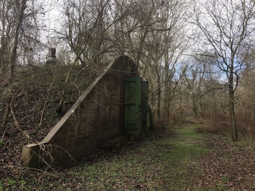 An overgrown path leads to a weathered, green door set into a concrete structure, surrounded by trees and foliage.
