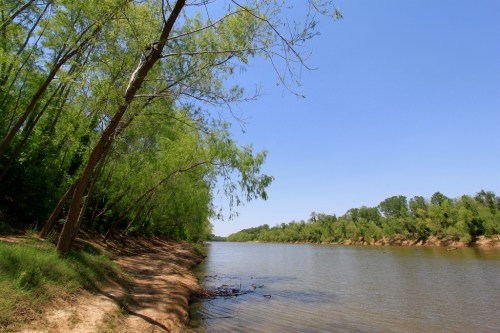 A serene river scene with lush green trees lining the banks under a clear blue sky.