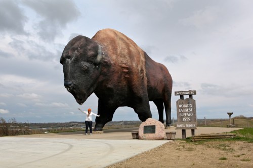 alt