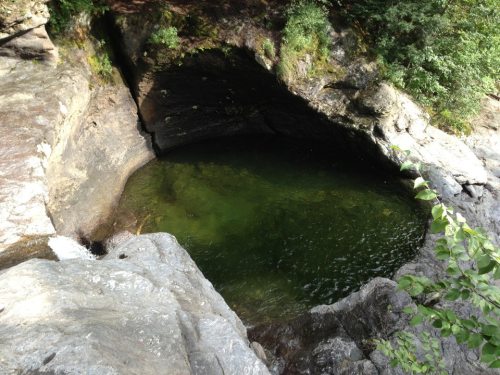 A natural rock pool surrounded by greenery, with clear green water reflecting the surrounding landscape.