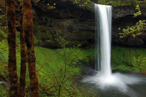 A serene waterfall cascades down a rocky cliff, surrounded by lush green foliage and trees.