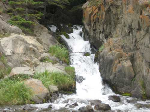 A serene waterfall cascading over rocks, surrounded by lush greenery and trees.