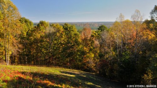 A scenic view of a colorful forest with trees in autumn foliage, overlooking a distant landscape under a clear sky.