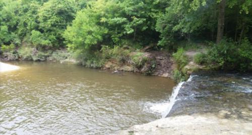 A serene river scene with lush green trees lining the banks and a small waterfall cascading into the water.
