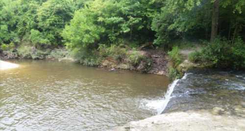 A serene river scene with lush green trees lining the banks and a small waterfall cascading into the water.