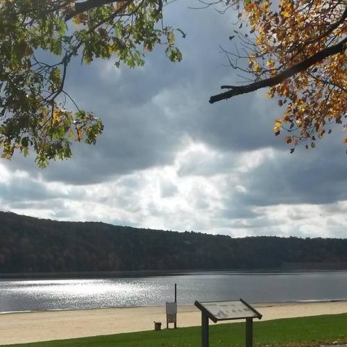 A serene lakeside view with trees, cloudy skies, and autumn foliage reflecting on the water's surface.