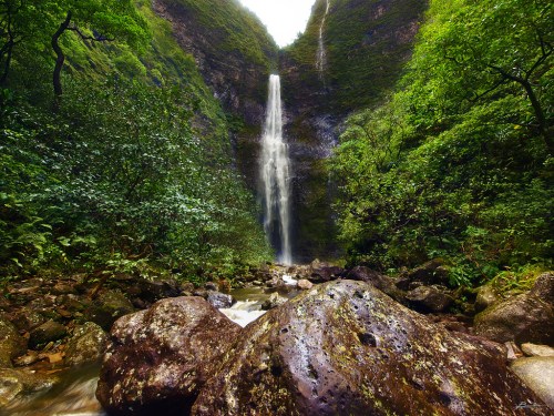 A stunning waterfall cascades down a rocky cliff, surrounded by lush green foliage and a serene stream below.