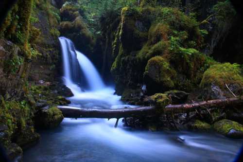 A serene waterfall cascades over moss-covered rocks, surrounded by lush greenery and a tranquil stream.