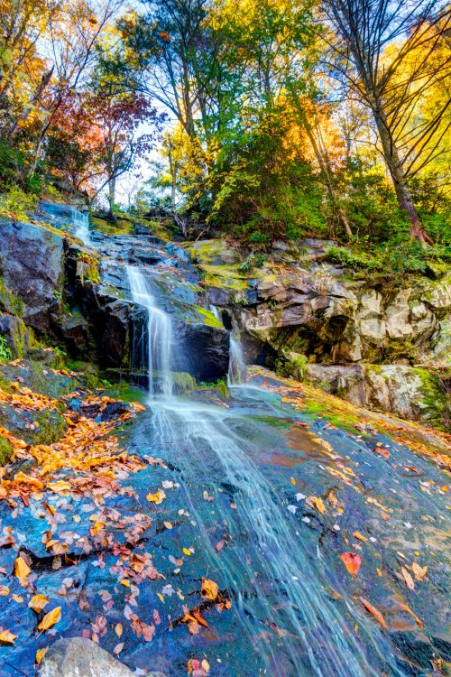 A serene waterfall cascades over moss-covered rocks, surrounded by vibrant autumn foliage and fallen leaves.