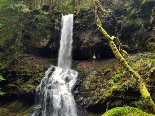 A serene waterfall cascades down rocky cliffs, surrounded by lush greenery and two people standing nearby.