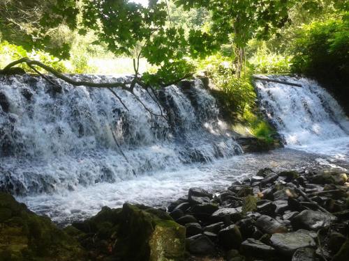 A serene waterfall cascades over rocks, surrounded by lush greenery and dappled sunlight.