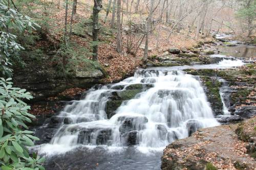 A serene waterfall cascades over rocks, surrounded by trees and autumn leaves in a peaceful forest setting.