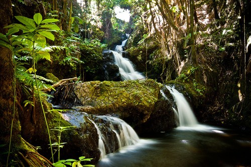 A serene forest scene featuring cascading waterfalls surrounded by lush greenery and sunlight filtering through the trees.