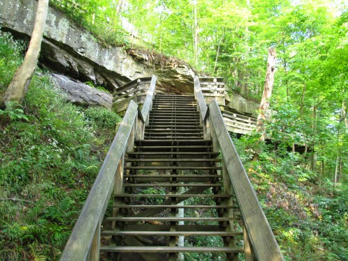 A wooden staircase leads up through lush greenery and rocky terrain in a forested area.