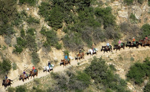 A group of people riding horses along a winding trail through a mountainous landscape.