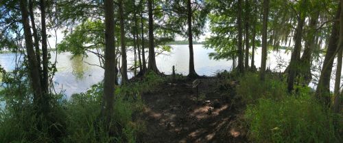 A serene lakeside view framed by trees, with lush greenery and calm water reflecting the sky.