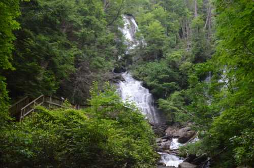 A lush green landscape featuring a waterfall cascading down rocks, surrounded by trees and a wooden walkway.