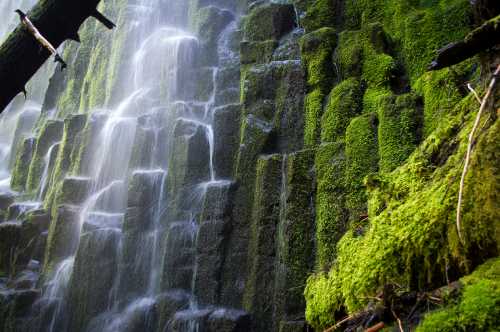 A cascading waterfall flows over moss-covered stone walls, surrounded by lush greenery and natural textures.