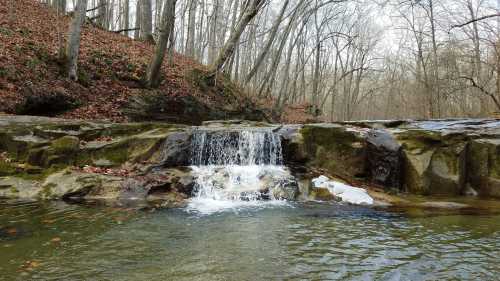 A small waterfall cascades over rocky terrain into a calm pool, surrounded by bare trees and fallen leaves.