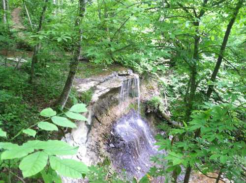 A serene waterfall cascades over rocks, surrounded by lush green foliage in a tranquil forest setting.