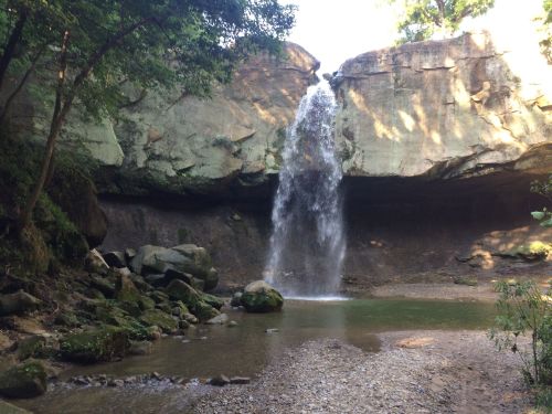 A serene waterfall cascades over a rocky cliff into a calm pool, surrounded by lush greenery.
