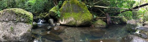 A serene stream flows through a lush, green forest, with large moss-covered rocks and gentle water reflections.