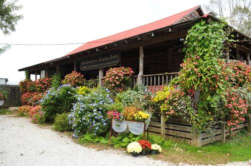 A charming wooden building with a red roof, surrounded by vibrant flowers and greenery.