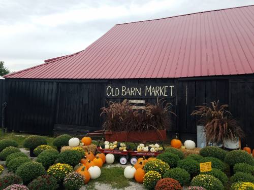 A rustic black barn with a red roof, featuring a sign that reads "Old Barn Market" and colorful pumpkins and flowers in front.