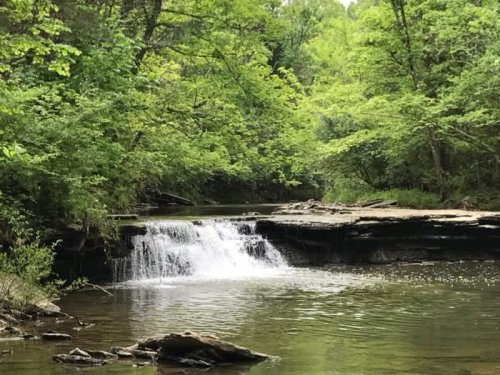 A serene forest scene featuring a small waterfall cascading into a calm stream, surrounded by lush green trees.