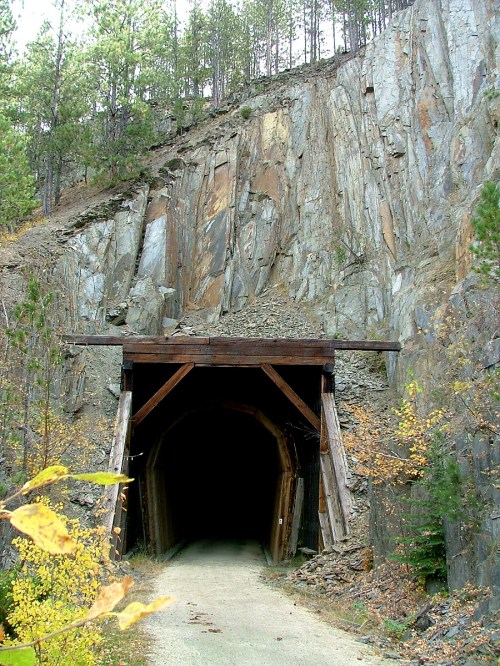 A dark tunnel entrance framed by wooden beams, set against a rocky hillside and surrounded by trees.