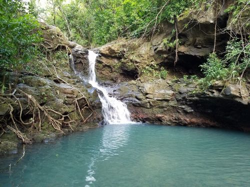 A serene waterfall cascading into a clear blue pool, surrounded by lush greenery and rocky terrain.