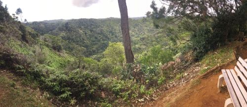 A panoramic view of a lush green valley surrounded by trees, with a wooden bench in the foreground.
