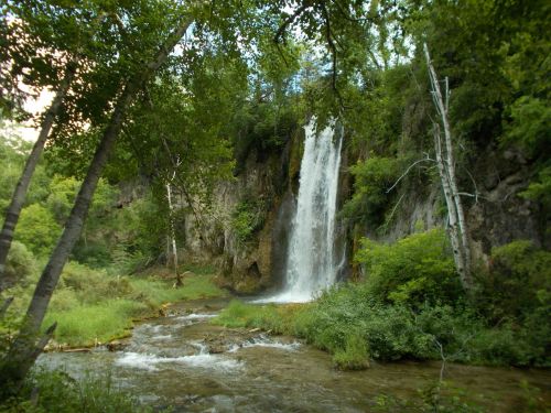 A serene waterfall cascades down rocky cliffs, surrounded by lush greenery and a flowing stream.