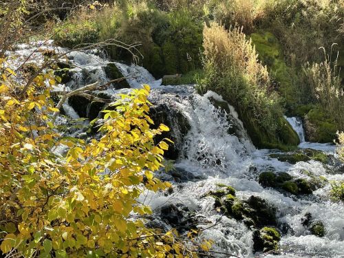 A serene waterfall cascades over rocks, surrounded by lush greenery and vibrant autumn leaves.