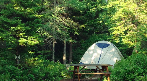 A camping site with a tent and picnic table surrounded by lush green trees.