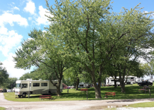 A grassy campsite with several RVs parked under large trees, blue sky with scattered clouds in the background.