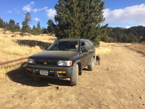 A dusty SUV parked on a dirt road with a dog walking nearby, surrounded by trees and open fields.